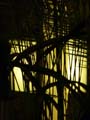 04_palme_llicht