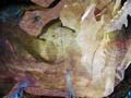 05_holz_folie