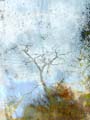 10_blech_baum