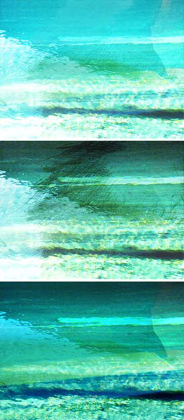 06_fluss_palmhaar_papier_2012