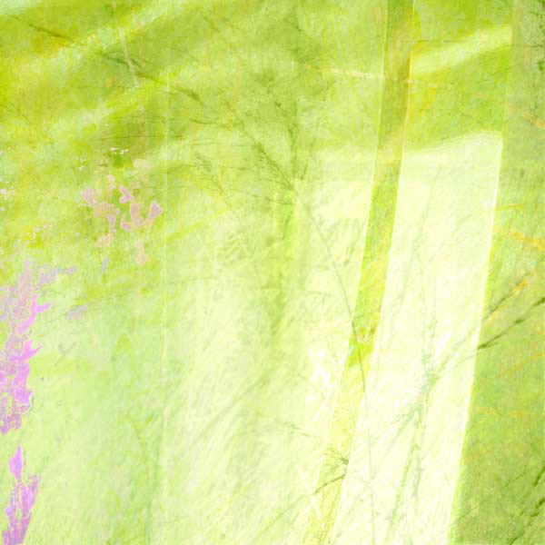 03_blutweiderich_fenster_lamellen