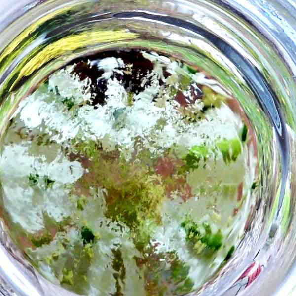 glas_02