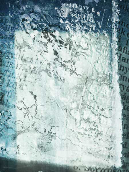 22_vorhang_schrift_algen